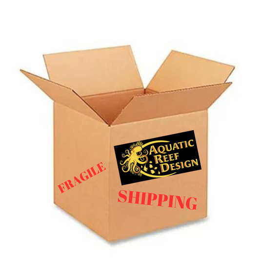 Florida Shipping